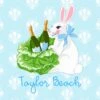 Bubbly Bunny Personalized Folded Note Cards, Blue